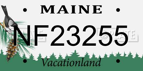 NF23255 Maine License Plate