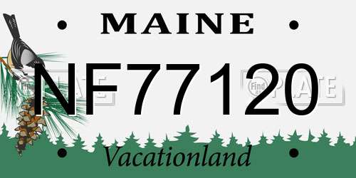 NF77120 Maine License Plate