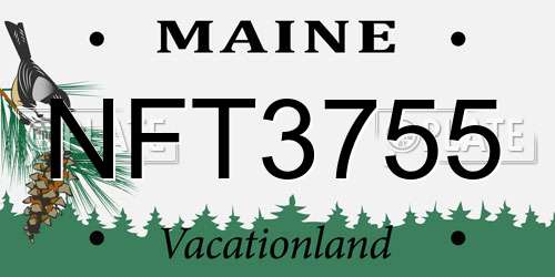 NFT3755 Maine License Plate