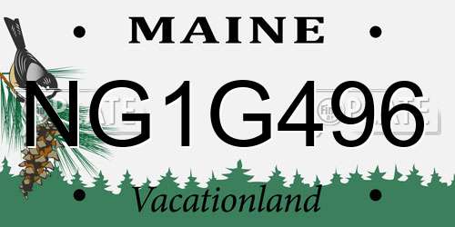 NG1G496 Maine License Plate