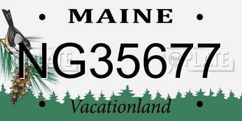 NG35677 Maine License Plate