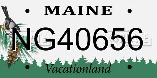 NG40656 Maine License Plate