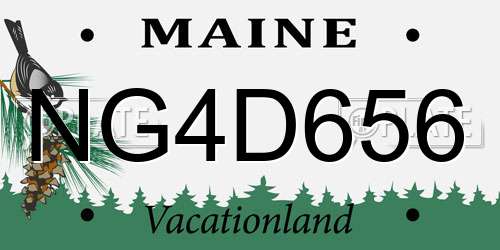 NG4D656 Maine License Plate
