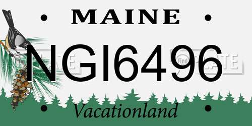 NGI6496 Maine License Plate