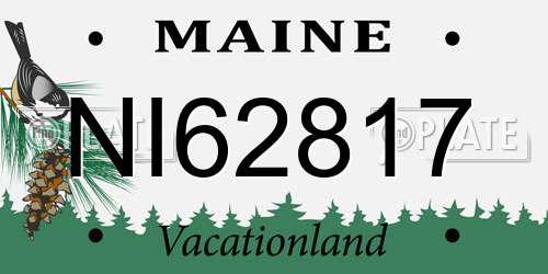NI62817 Maine License Plate