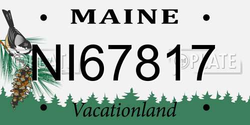 NI67817 Maine License Plate