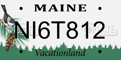 NI6T812 Maine License Plate