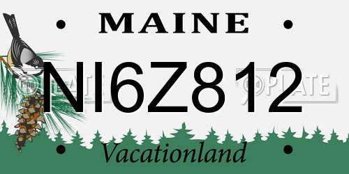 NI6Z812 Maine License Plate