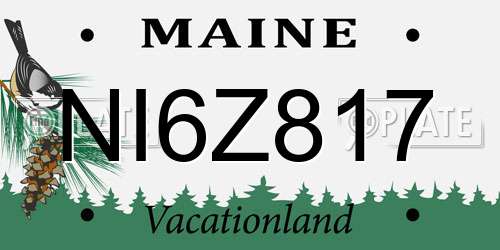 NI6Z817 Maine License Plate