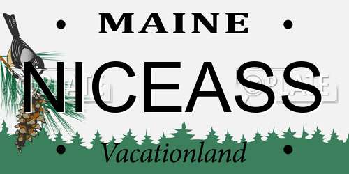NICEASS Maine License Plate