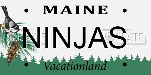 NINJAS Maine License Plate