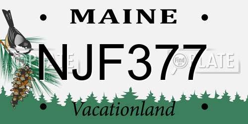 NJF377 Maine License Plate