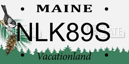 NLK89S Maine License Plate