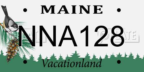 NNA128 Maine License Plate