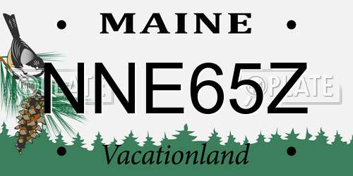 NNE65Z Maine License Plate