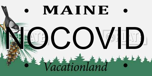 NOCOVID Maine License Plate
