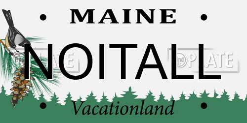 NOITALL Maine License Plate