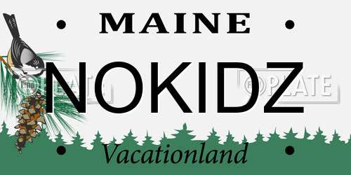 NOKIDZ Maine License Plate