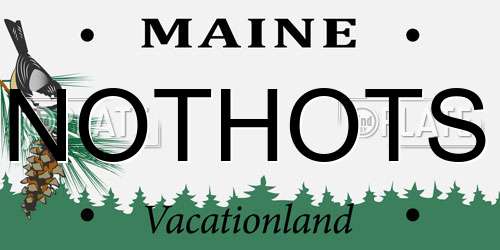 NOTHOTS Maine License Plate