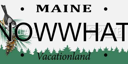 NOWWHAT Maine License Plate