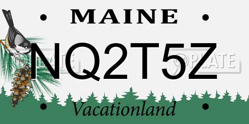 NQ2T5Z Maine License Plate