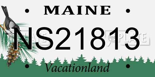 NS21813 Maine License Plate