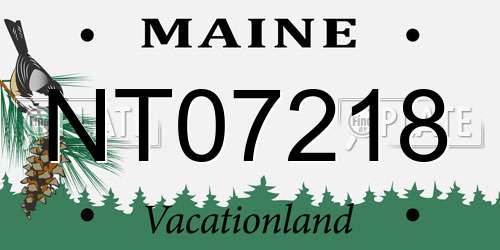 NT07218 Maine License Plate