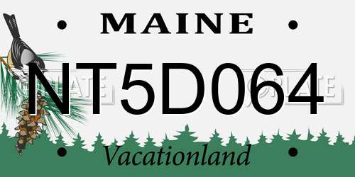 NT5D064 Maine License Plate