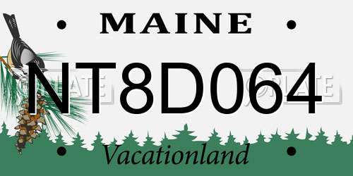 NT8D064 Maine License Plate