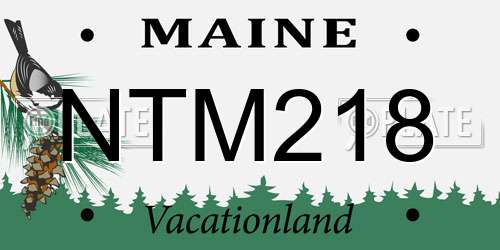 NTM218 Maine License Plate