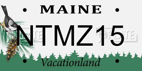 NTMZ15 Maine License Plate