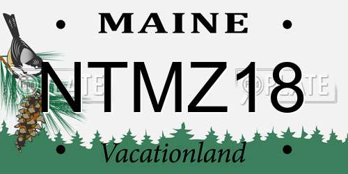 NTMZ18 Maine License Plate