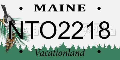 NTO2218 Maine License Plate