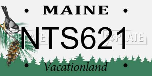 NTS621 Maine License Plate