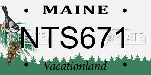 NTS671 Maine License Plate