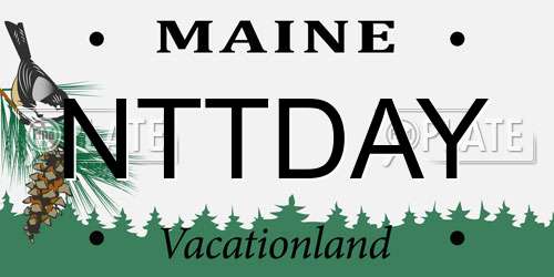 NTTDAY Maine License Plate