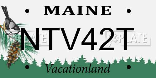 NTV42T Maine License Plate