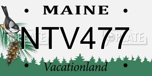 NTV477 Maine License Plate