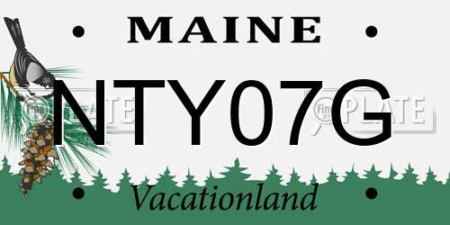 NTY07G Maine License Plate