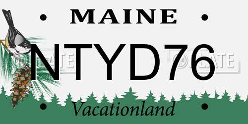 NTYD76 Maine License Plate