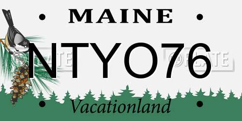 NTYO76 Maine License Plate