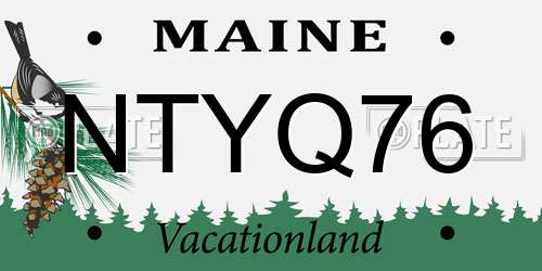 NTYQ76 Maine License Plate
