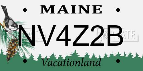 NV4Z2B Maine License Plate