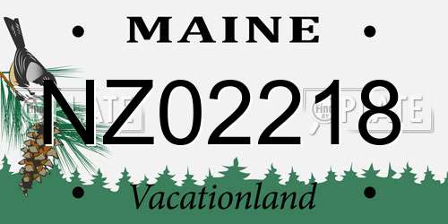 NZ02218 Maine License Plate