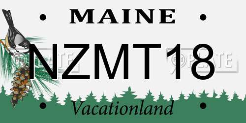 NZMT18 Maine License Plate