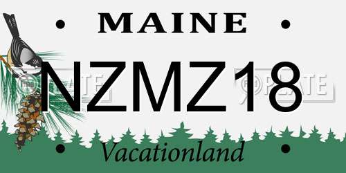 NZMZ18 Maine License Plate