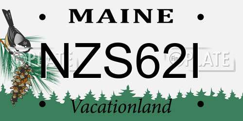 NZS62I Maine License Plate