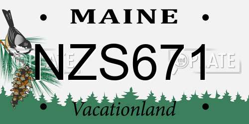 NZS671 Maine License Plate