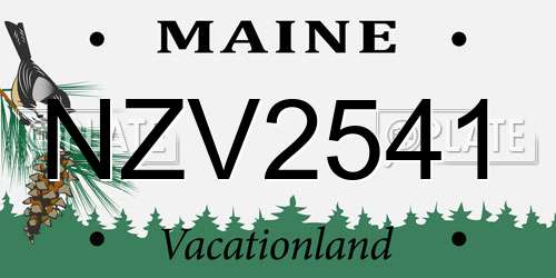 NZV2541 Maine License Plate