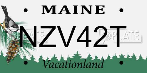 NZV42T Maine License Plate